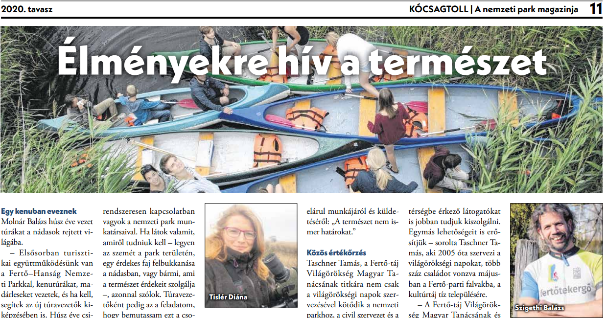 images/media/media6.png#joomlaImage://local-images/media/media6.png?width=1240&height=650